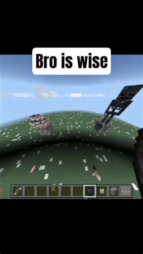 Wolves vs Wither Skeletons 🐺💀