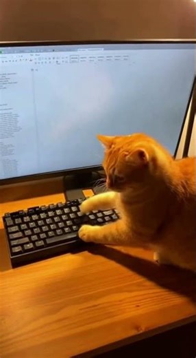 Caught My Cat USING THE COMPUTER… What Is This?!1 #cat #caughtoncamera #keyboardcat #viralshorts