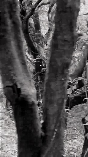 Camera Transitions After Effects | ‪@MisekBa‬