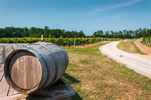 This Little-known Canadian Destination Has Long Been a Favorite Among Locals—With 40  Wineries, Beautiful Hiking Trails, and White-sand Beaches