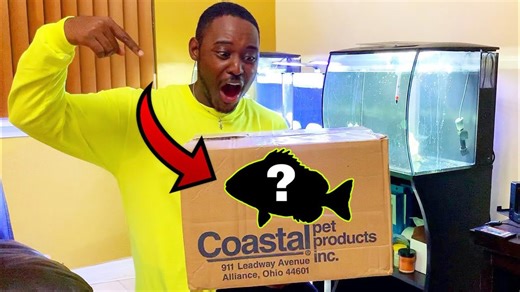 Rare and Stunning - Epic Exotic Fish Gift Swap Reveal