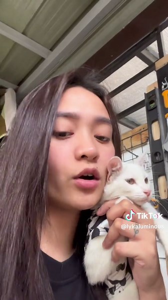 Explore Impact Drill Functions with Ingo Tools