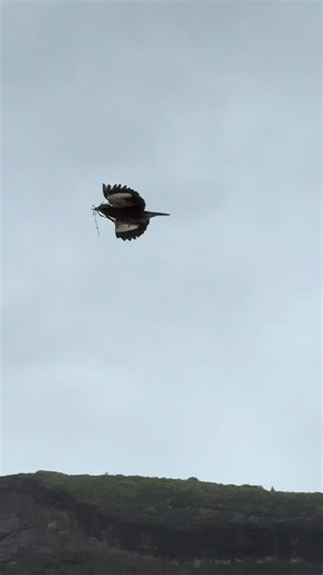Aloha Friday Storm Report from Sandy Beach