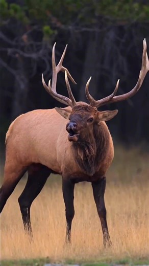 Hunter fans (@fans.huntingboots)’s videos with original sound - Hunter fans