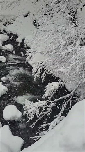 羽黒山 雪の絶景