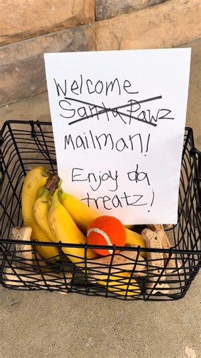 Agirlandadoodle on Reels