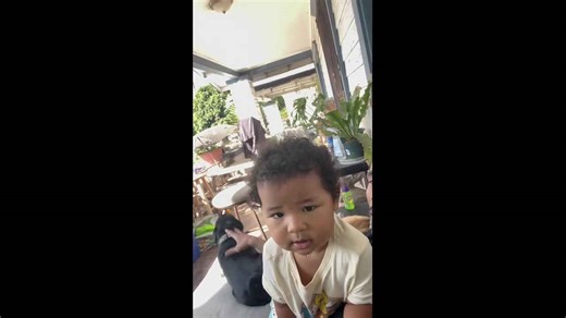 Dog howls loudly in a funny way, leaving owner puzzled in Long Beach, California, USA