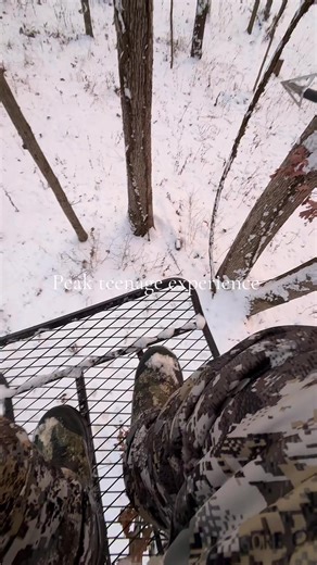 @Treaty Oak Revival #hunting #sitkagear #beararchery #treatyoakrevival | hunting