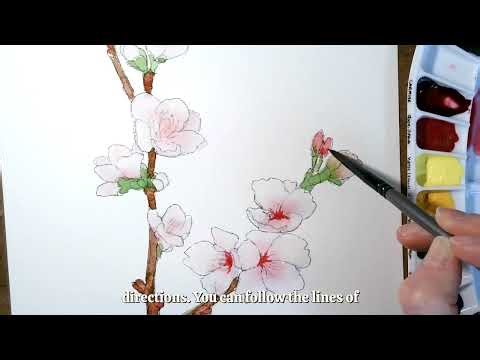 Watercolor Tutorial Cherry Blossoms Em Campbell