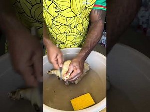 watch how i cook a sheep's head