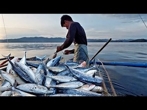 Jackpot sa tulingan huli sa lambat at hilahila Filipino traditional fishing varando tv