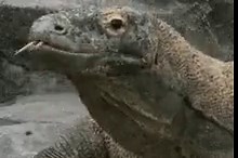 "Can I have money for groceries?" is a sentence no grown woman should have to say to her own husband. Nigerian marriage has been quietly structured so that a wife must submit financial requests just to run the home she manages. She raises his children, hosts his family, maintains his social image... and still has to explain why she needs ₦5,000. The man controls the flow. She controls nothing. It is dependency by design. A wife who cannot spend without approval is not a partner... she is a manag