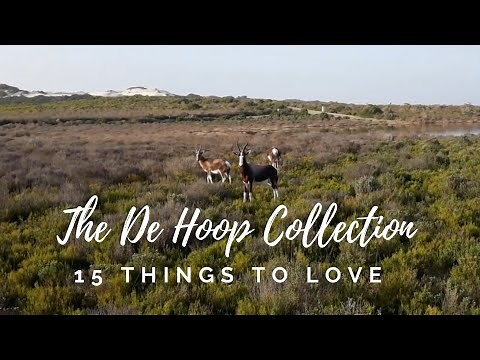 The De Hoop Collection: The Ultimate Western Cape Weekend Getaway