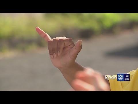 Hawaii becomes first state to have official hand gesture: the ‘shaka’
