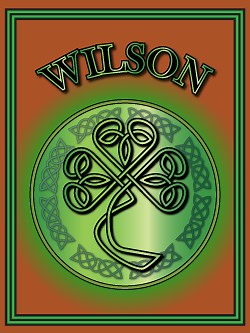 History of the Irish name Wilson