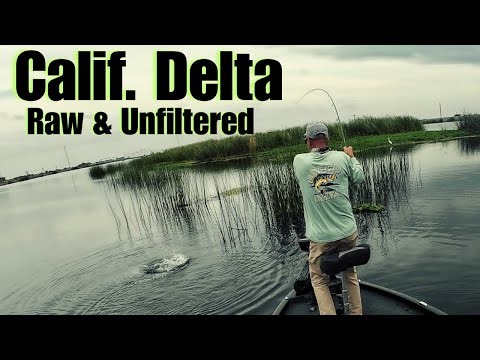 California Delta/Unfiltered Emotions.