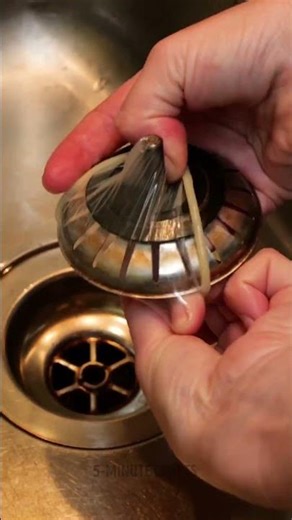 Stop cockroaches coming through your sink 🪳🚫