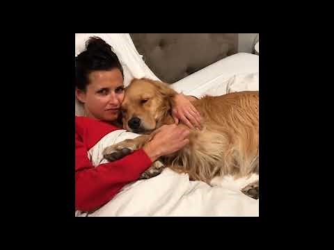 Sleepy Dog Really Enjoys Cuddle Time