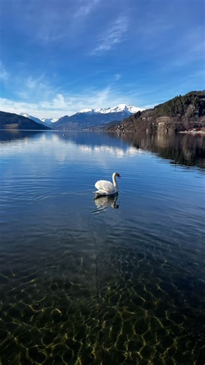 🌿🌸🍁🌞🏔️ #nature #mountain #lakeview #millstättersee #austria #carinthia #camping #holiday #journey #sunset #sunrise #water #summer #spring #autumn #forest #love #campingbrunneramsee | Camping Brunner am See