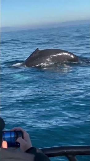 Makran, Persian Sea: Direct Arm of Indian Ocean in Iran