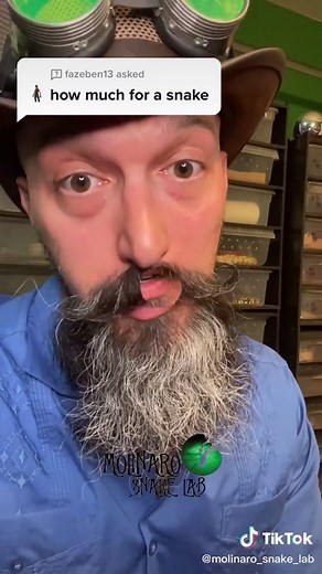 Snake Pricing Guide: Understanding the Cost of Different Snake Varieties