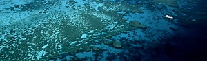 Great barrier reef