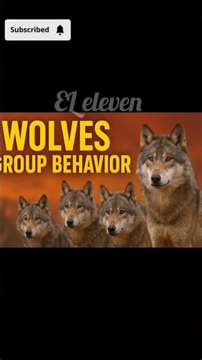 The Alpha Strategy: Why Wolves Are the World's Best Team Players #shorts #facts