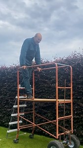 1.5M views · 6.6K reactions | An awesome vehicle used for hedge trimming  | UNILAD Tech | Facebook