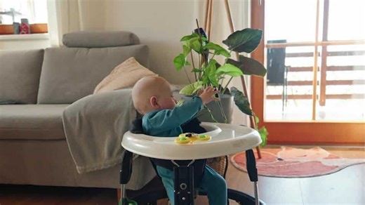 Consumer Reports: The danger of baby walkers