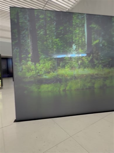 MJ🤍✨🌱 on Instagram: "first National Park of the year & park number 11! Gateway Arch NP! a few fun facts i learned: •it’s the smallest national park in the U.S. •it rises 630 feet into the sky •it’s the tallest monument in the U.S. •taller than the washington monument and nearly twice the height of the statue of liberty. - slide 7 •the arch is engineered to sway up to a foot in strong winds •getting to the top takes 4 minutes ride, in a pod that feels part time capsule, part spaceship (gave ver