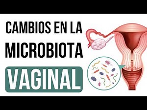 Vaginal Microbiota 🦠: Basic Concepts (Dr. Isabel Rosas)