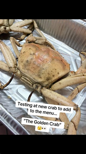 I’m always up to something in this kitchen… Testing a few different crabs to add to our menu… The Golden Crab up for the next test..