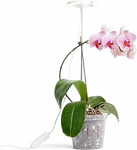 rePotme Grow Light for Orchids, Lumina Orchid, Full Spectrum Plant Light with Adjustable Height and Automatic Timer (White)