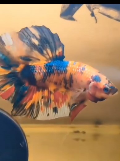 Kronos: Youngest Titan and Ruler of the Universe