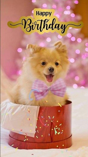 Cute Dog Singing Happy Birthday