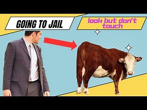 Camera catches man having sex with COW in the UK / Liam Brown case