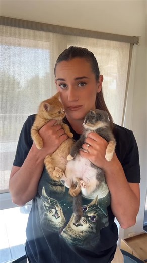 HANNAH BERNER on Instagram: "Fostering 3 kittens from @southamptonanimalshelteradopt and Butter is very confused. The shelter is overflowing with kittens so this is your sign to adopt!!!!"