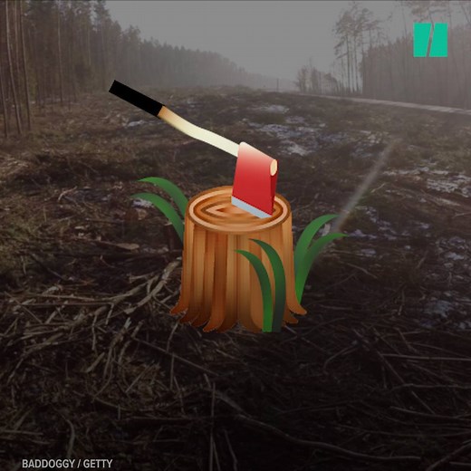 These new emojis show the effects of climate change... | Yahoo News