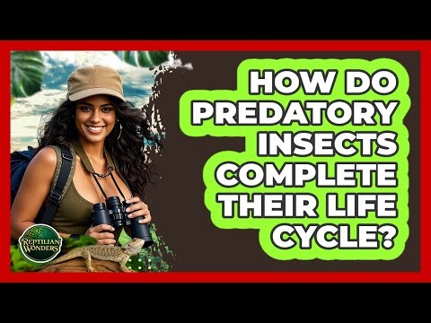How Do Predatory Insects Complete Their Life Cycle? - Reptilian Wonders