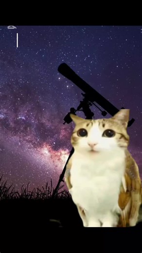 Explorando el Planeta de Algodón de Azúcar: Wasp 193 b