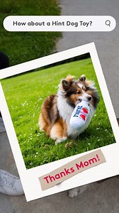 17 reactions · 3 comments | Who else is ready for the weekend?! ☀️ | Hint | Facebook