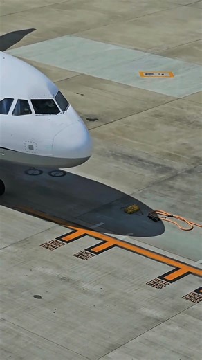 The ANA A321 sliding into the stand with that clean Airbus precision. Small moment, but always satisfying to watch up close. #ANA #A321 #AirplaneSpotting #AviationLovers #AirportLife #AvGeek #RunwayMoments #JetLife #PlanePhotography #AviationDaily #AirportViews #SpottersUnited | Aviation Gallery