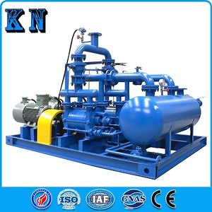 [Hot Item] 2BV Series Double Stage Liquid Ring Vacuum Pump with Compressor