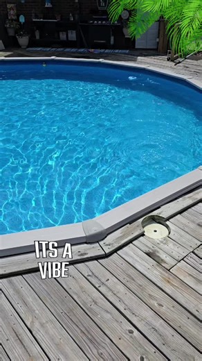 This backyard is a vibe 😎🤙🏼 #poollife #itsavibe #backyardvibes #fyp #xtremecleanpoolz