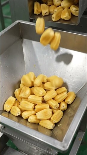 How Jackfruit Juice Is Made | From Fresh Jackfruit to Bottled Juice