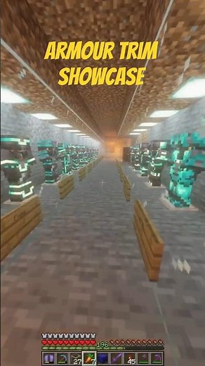 Minecraft Armour Trim Showcase #Minecraft #MinecraftShowcase #c418sweden #MinecraftShorts #Shorts