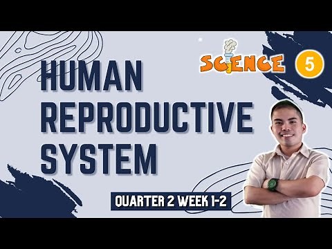 SCIENCE 5 Q2 WEEK 1-2 | HUMAN REPRODUCTIVE SYSTEM
