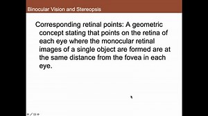 Binocular Vision and Stereopsis