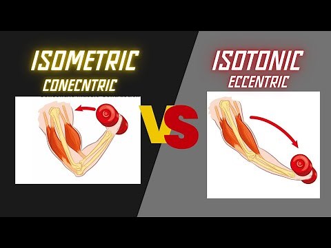 What is the difference between isometric and isotonic| Concentric and eccentric muscle work