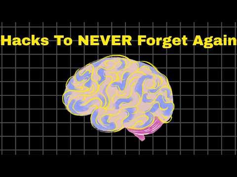The Cheat Code to Learn Anything Fast and Never Forget Again